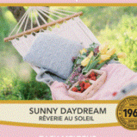 Sunny Daydream